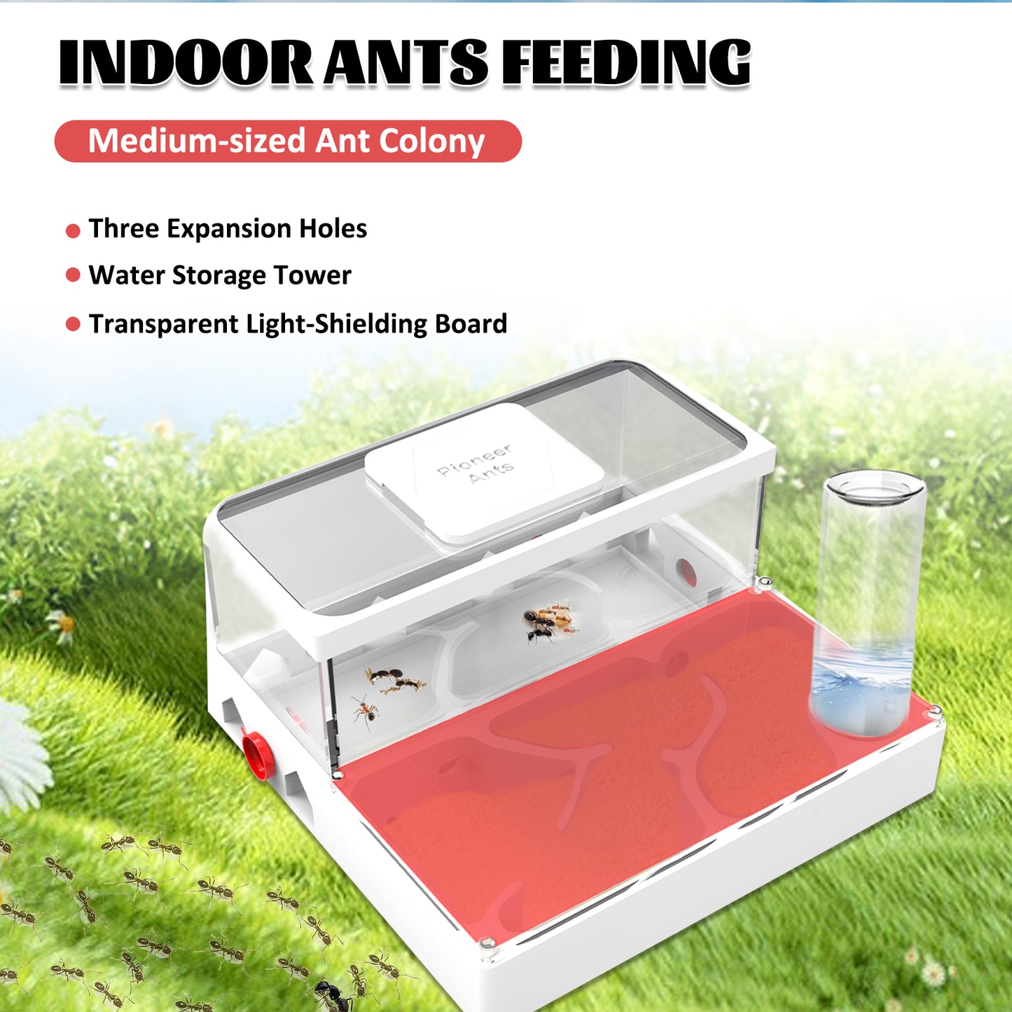 Pioneer Ants Ant Farm – 3D Printed &amp; Acrylic Ant Habitat with Expansion Ports, Water Tower &amp; Sand Nest | Indoor Ant Colony Starter Kit for Beginners &amp; Advanced Keepers (No Ants Included)