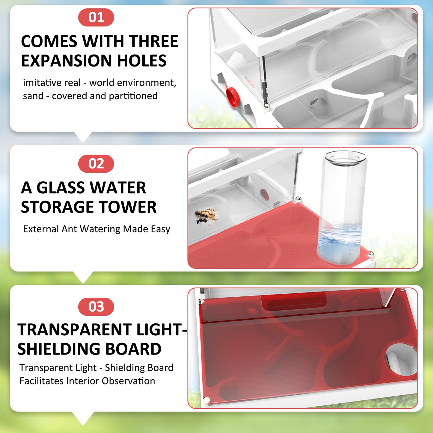 Pioneer Ants Ant Farm – 3D Printed &amp; Acrylic Ant Habitat with Expansion Ports, Water Tower &amp; Sand Nest | Indoor Ant Colony Starter Kit for Beginners &amp; Advanced Keepers (No Ants Included)
